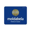 Moldabella