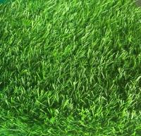 Искусственная трава Шри Ланка 40 мм 1,0 м